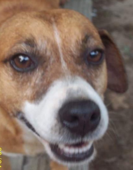 Meet your Posher, Nikki - Picture 1 of 6